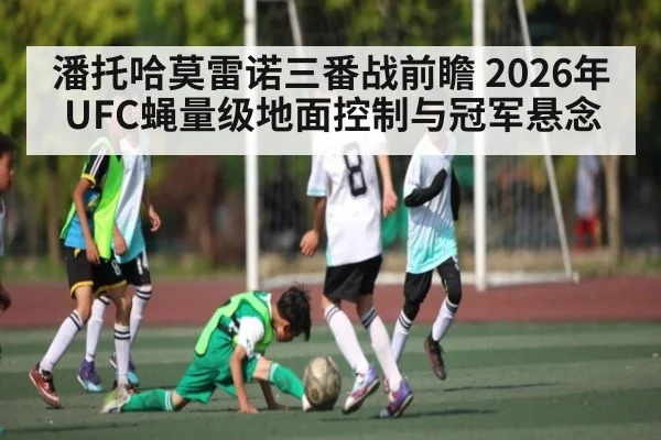 潘托哈莫雷诺三番战前瞻 2026年UFC蝇量级地面控制与冠军悬念